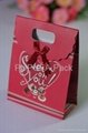 Fancy Printing Gift paper bag with ribbon tie