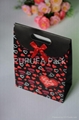 Fancy Printing Gift paper bag with ribbon tie